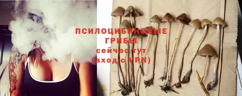 Галлюциногенные грибы MAGIC MUSHROOMS  Валуйки 